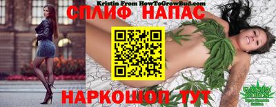 шишки Ликино-Дулёво